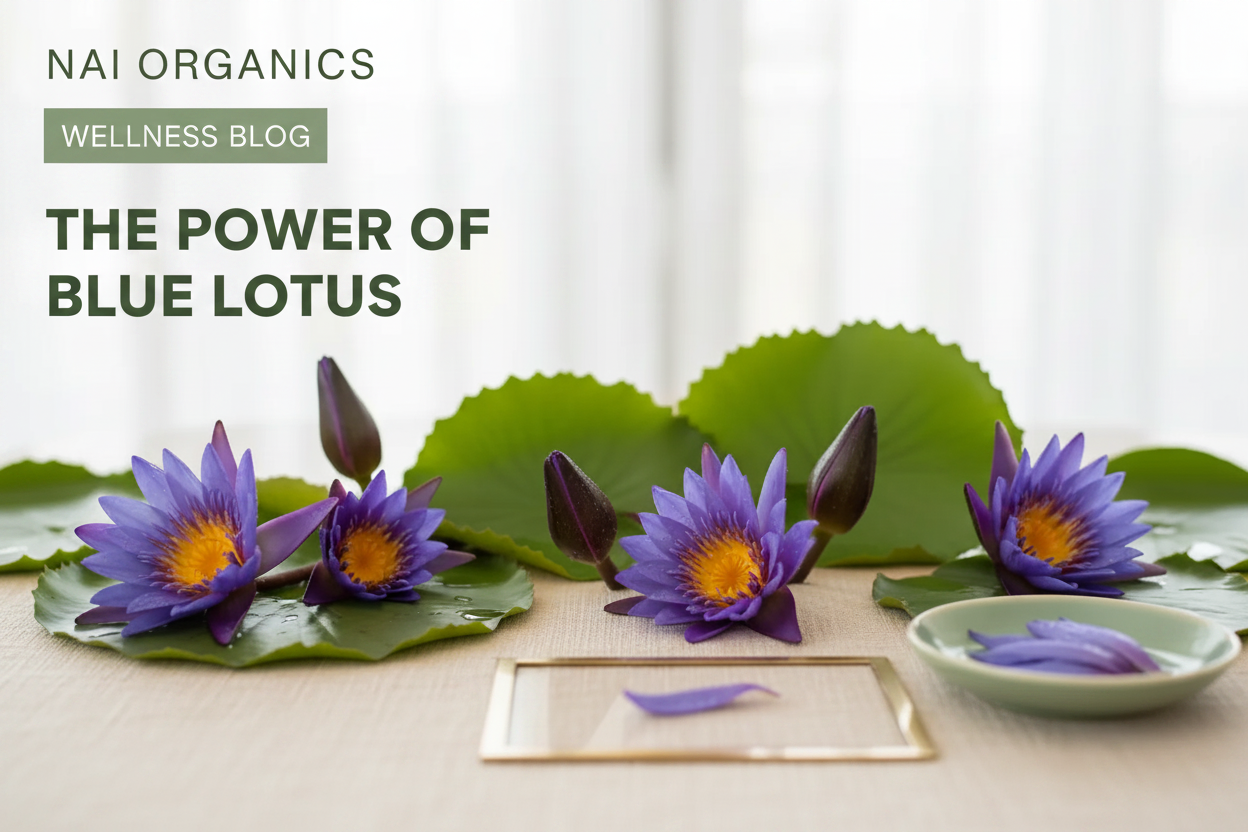 Blue lotus flowers and leaves - Nai Organics Wellness Blog