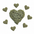 Mullein Leaf