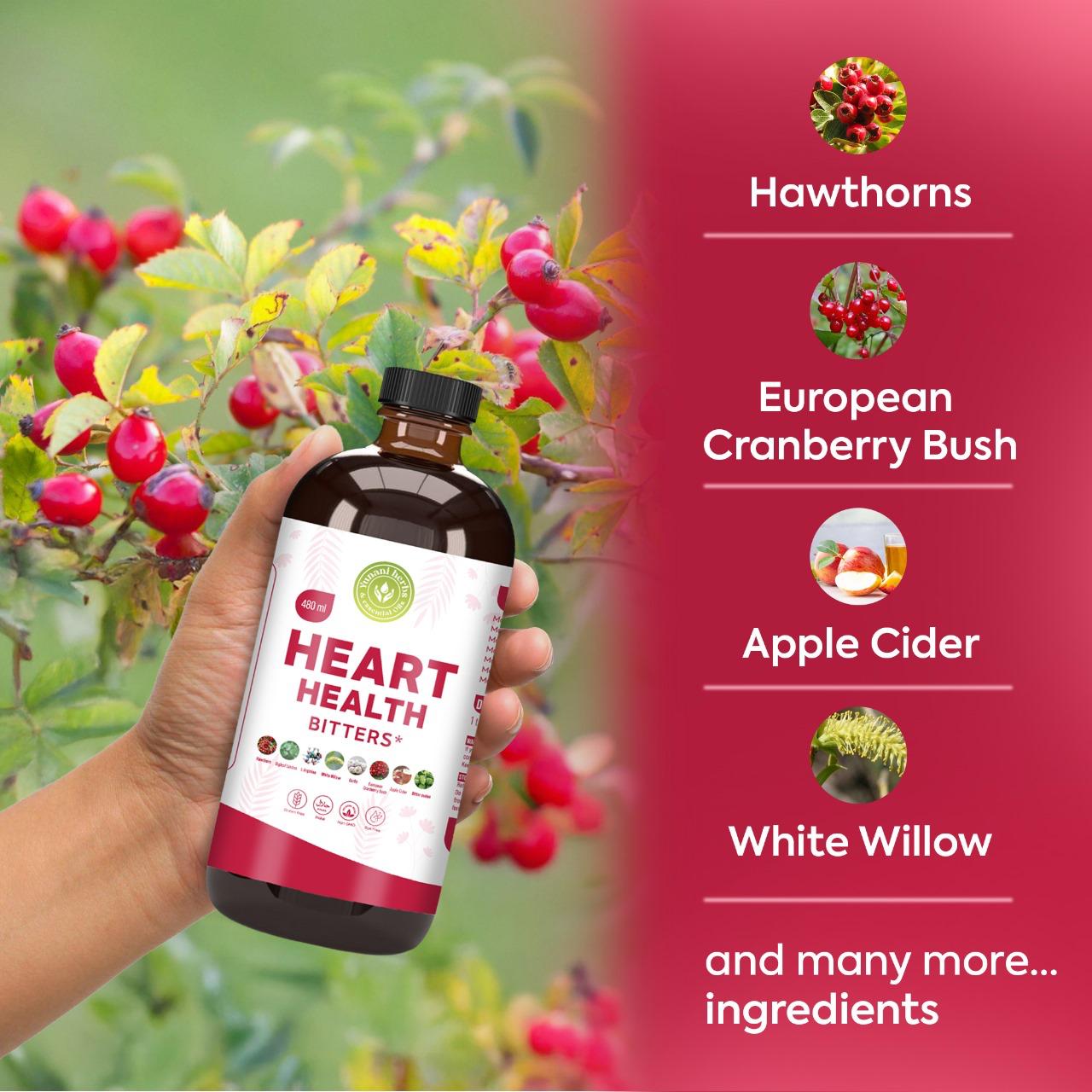 Heart Health Bitters key ingredients: hawthorns, European cranberry bush, apple cider, white willow